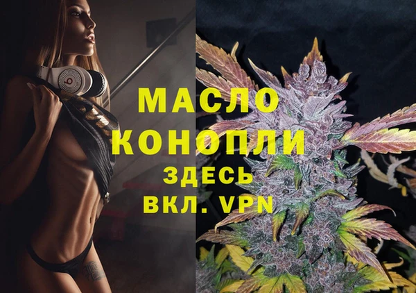 тгк Гусев