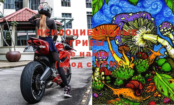 кокс Гусь-Хрустальный