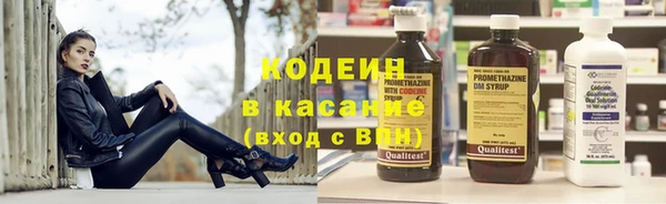 тгк Гусев