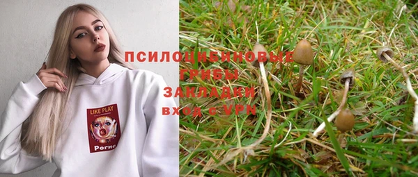 тгк Гусев