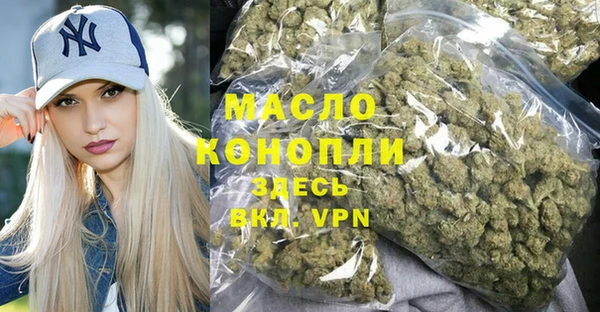 тгк Гусев