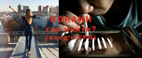 кокс Гусь-Хрустальный